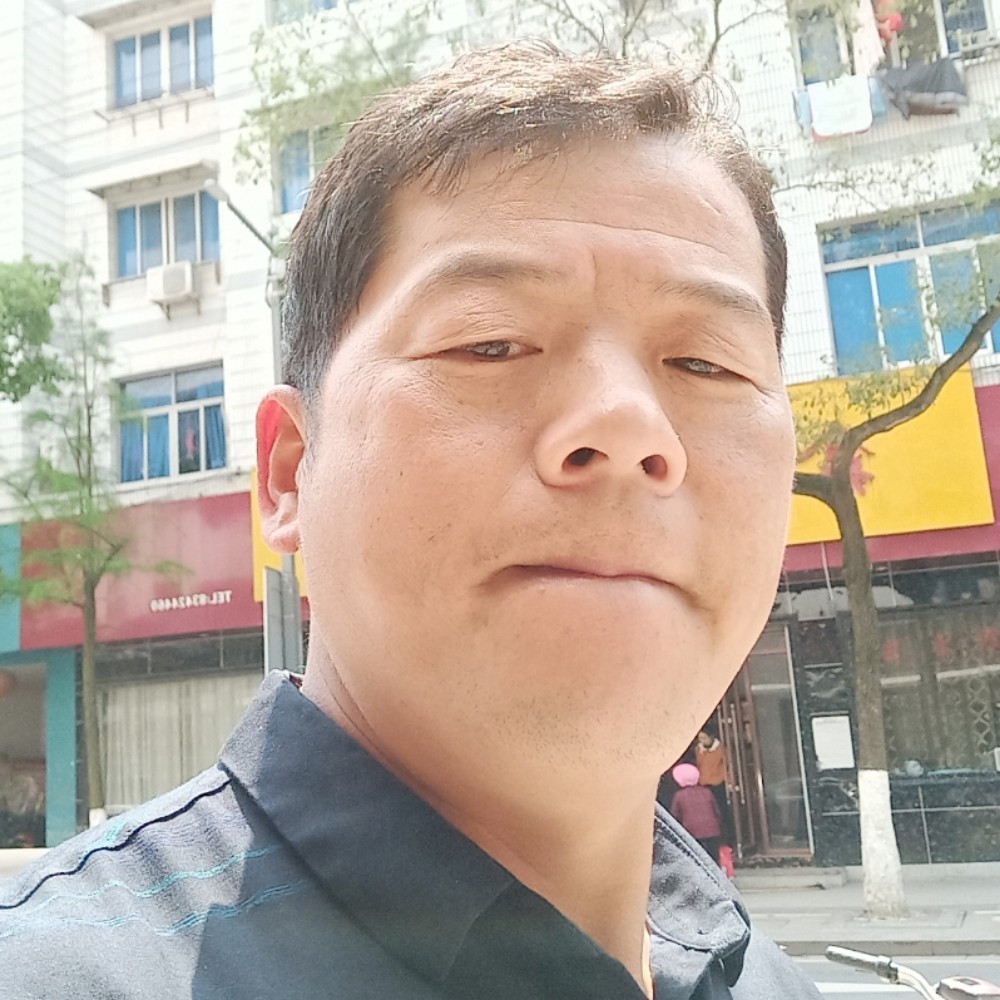 康乃馨爱认真的照片