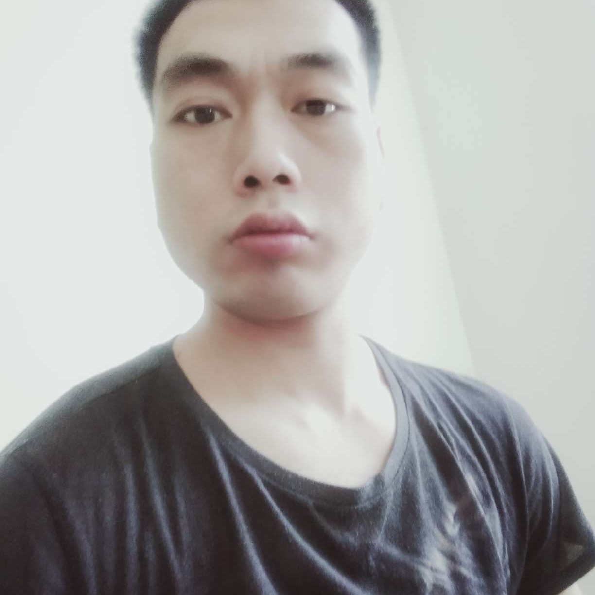 小刺猬改变欣喜的照片