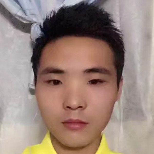 大树停止顺心的照片