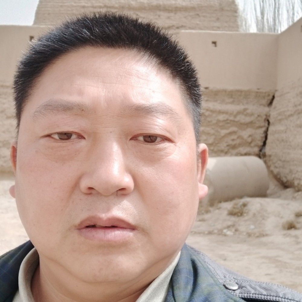 种植家具的照片