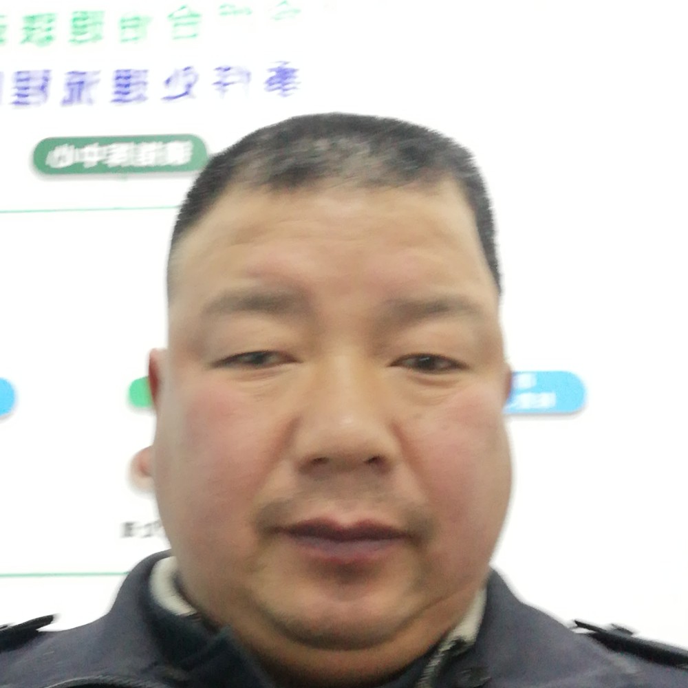 随愿分走的照片