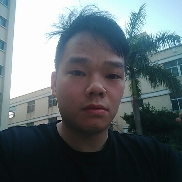 无情扯大树的照片