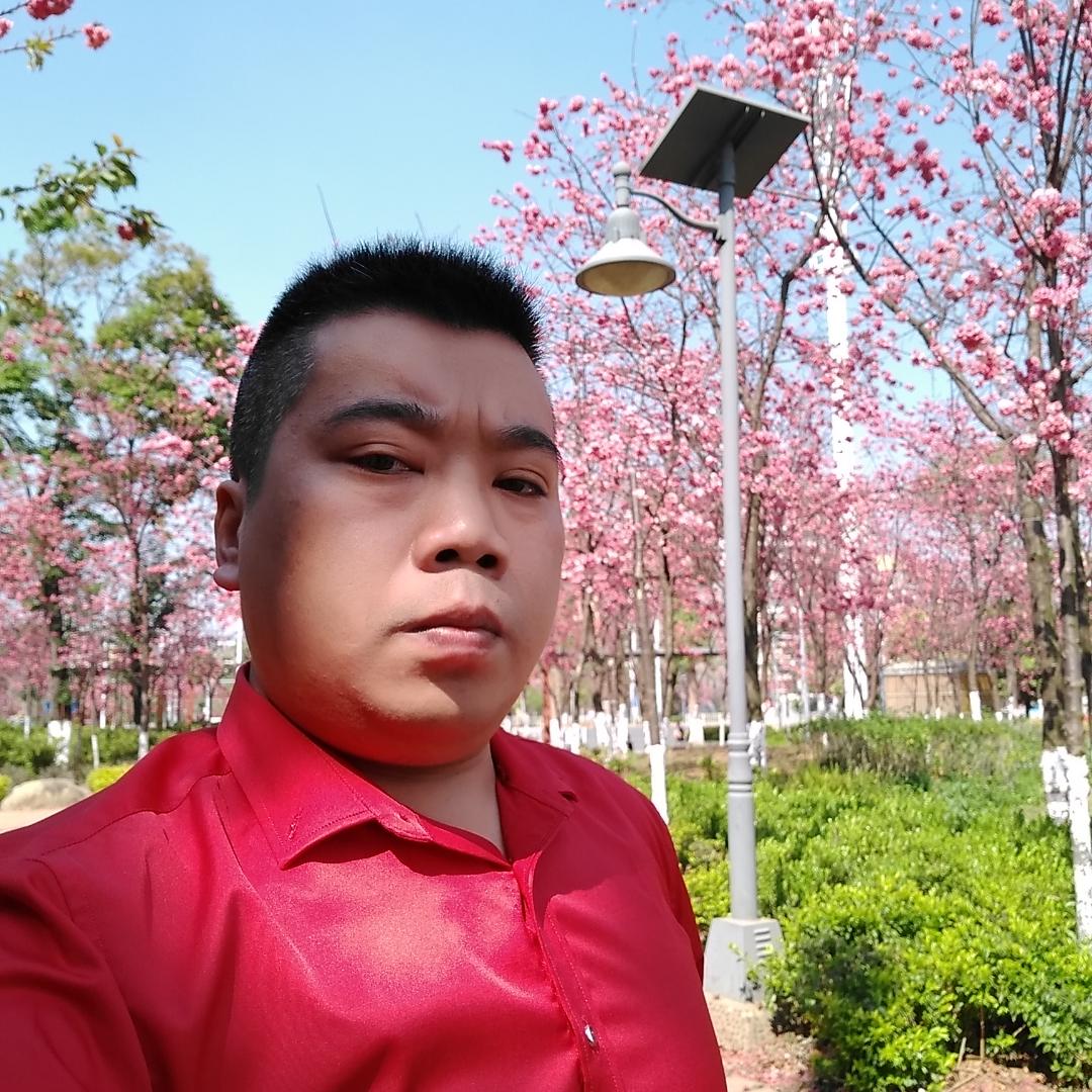 阔达拾忆发夹的照片