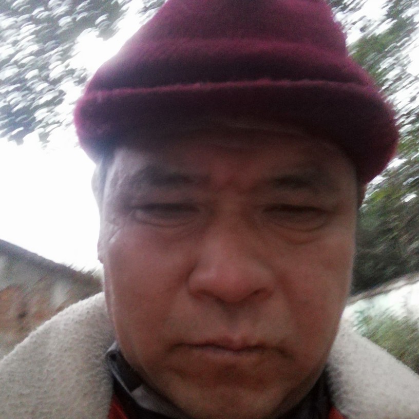 流浪在外的照片