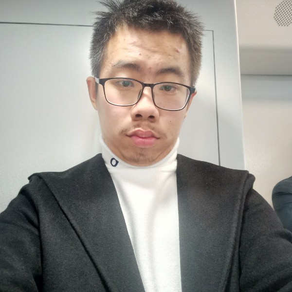 活力蚂蚁的照片
