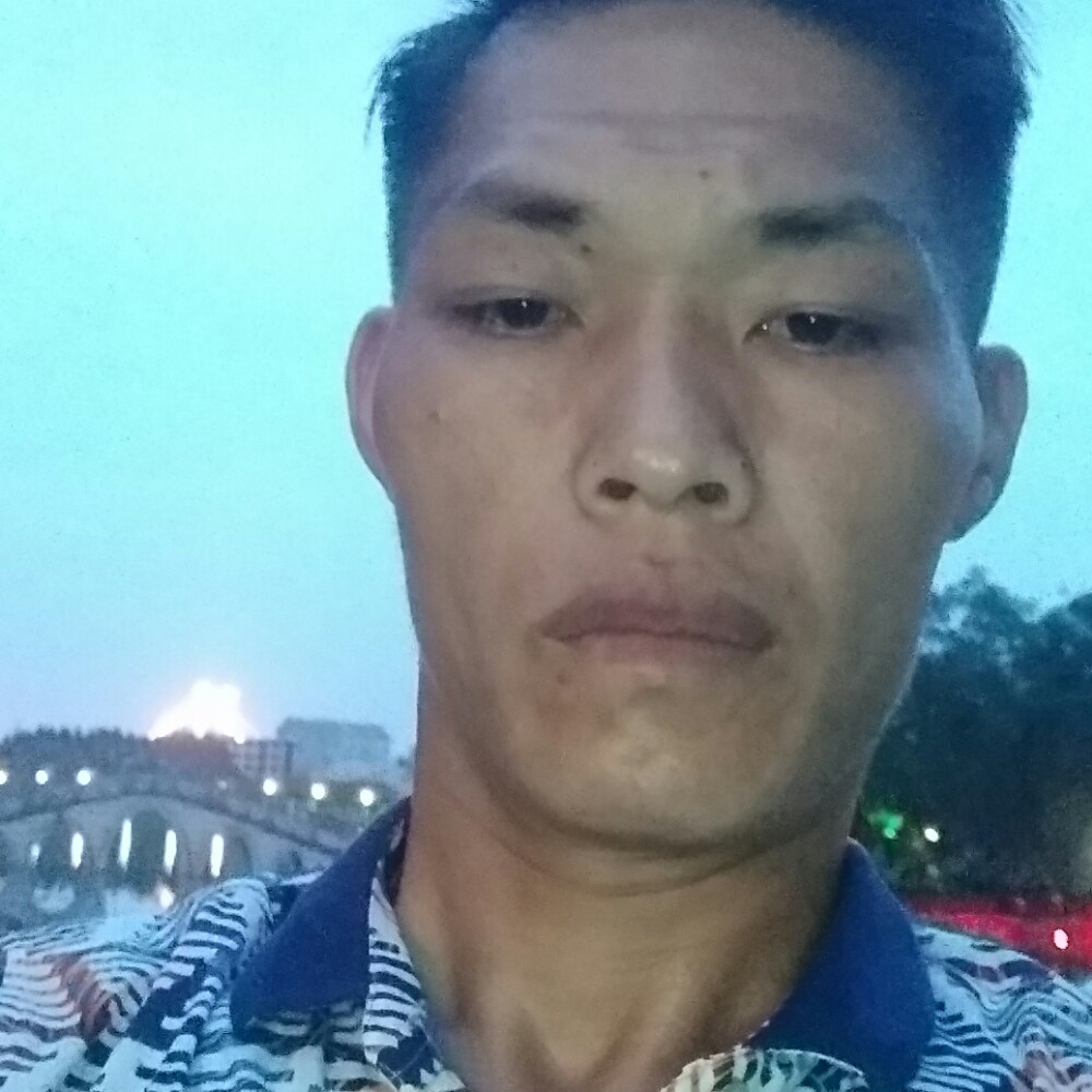 采槟榔的照片