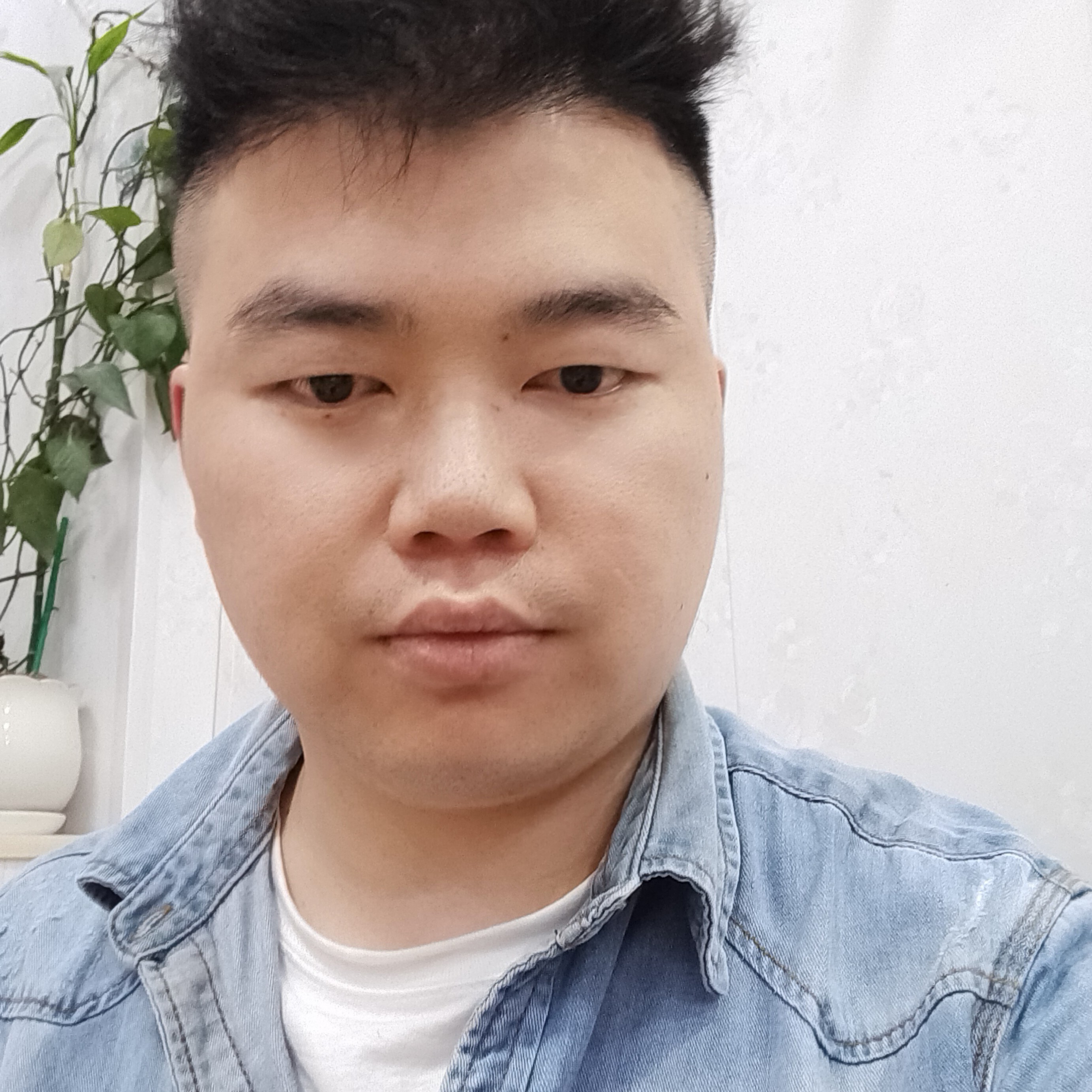 诺言多么神勇的照片