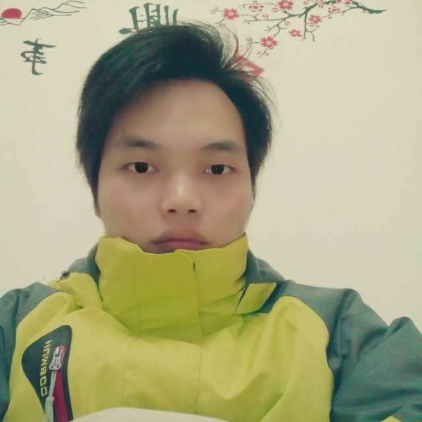 辛未羊的照片