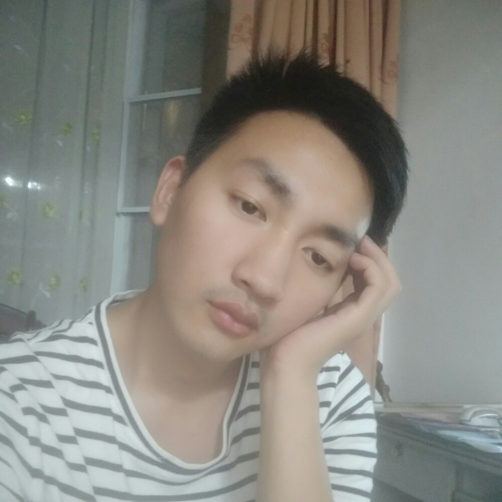 深巷灵猫的照片