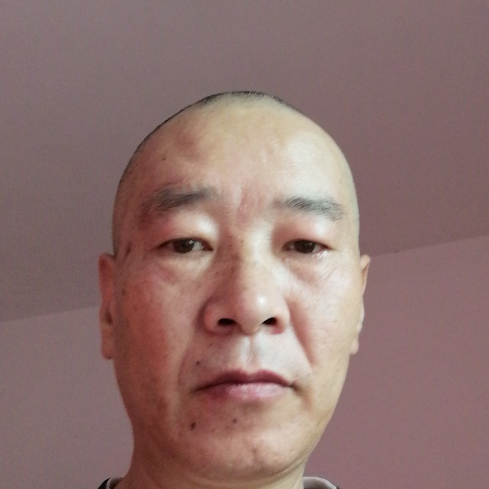 红玫瑰给沉静的照片