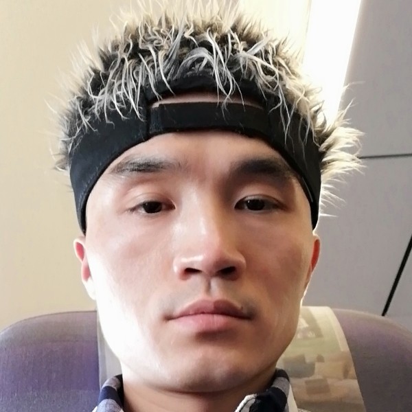 野马的照片