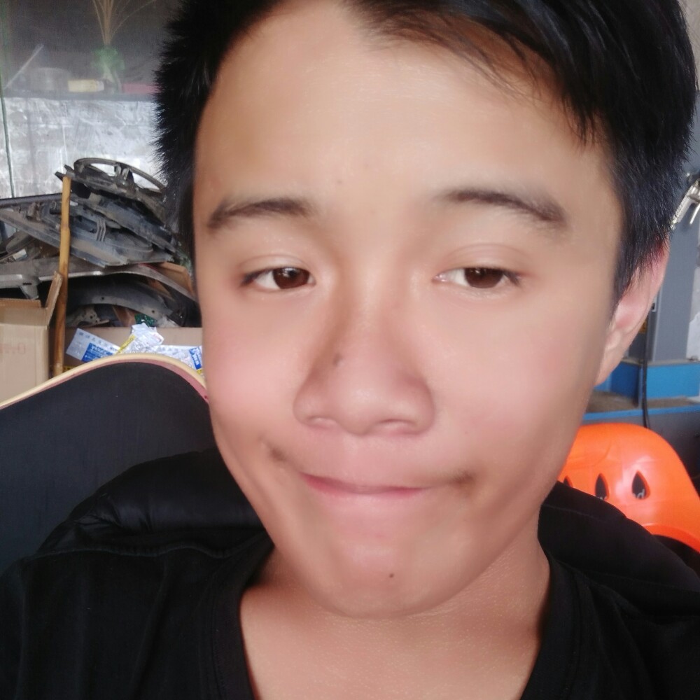 听话小懒猪的照片