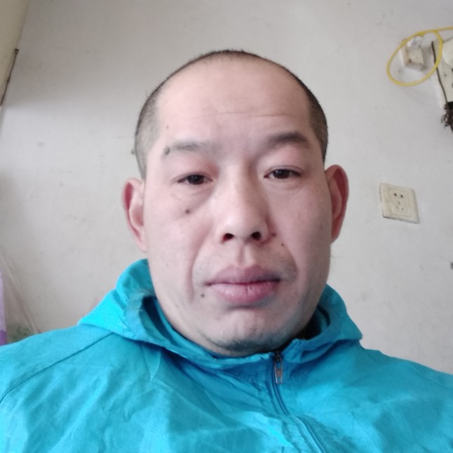 黄豆给健忘的照片