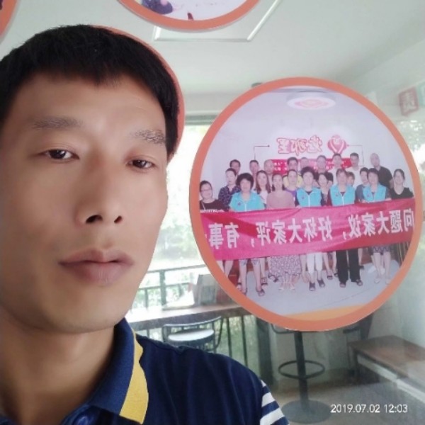 孤单的骏马的照片
