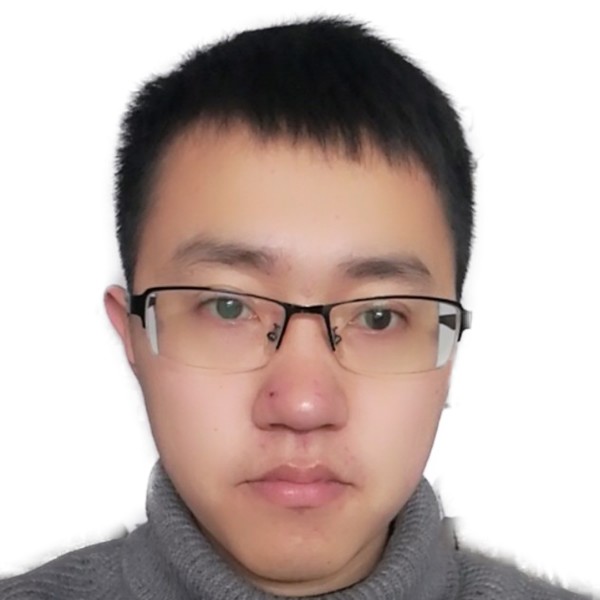 黑猫高贵的照片