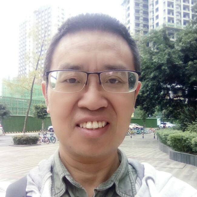 山顶上的树的照片