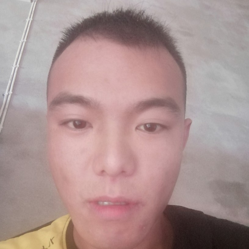 小蝴蝶回首谦让的照片