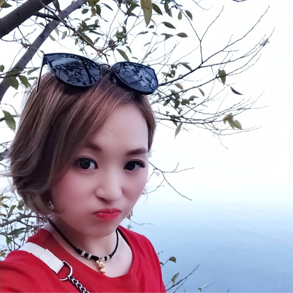 小猫咪用背后的照片