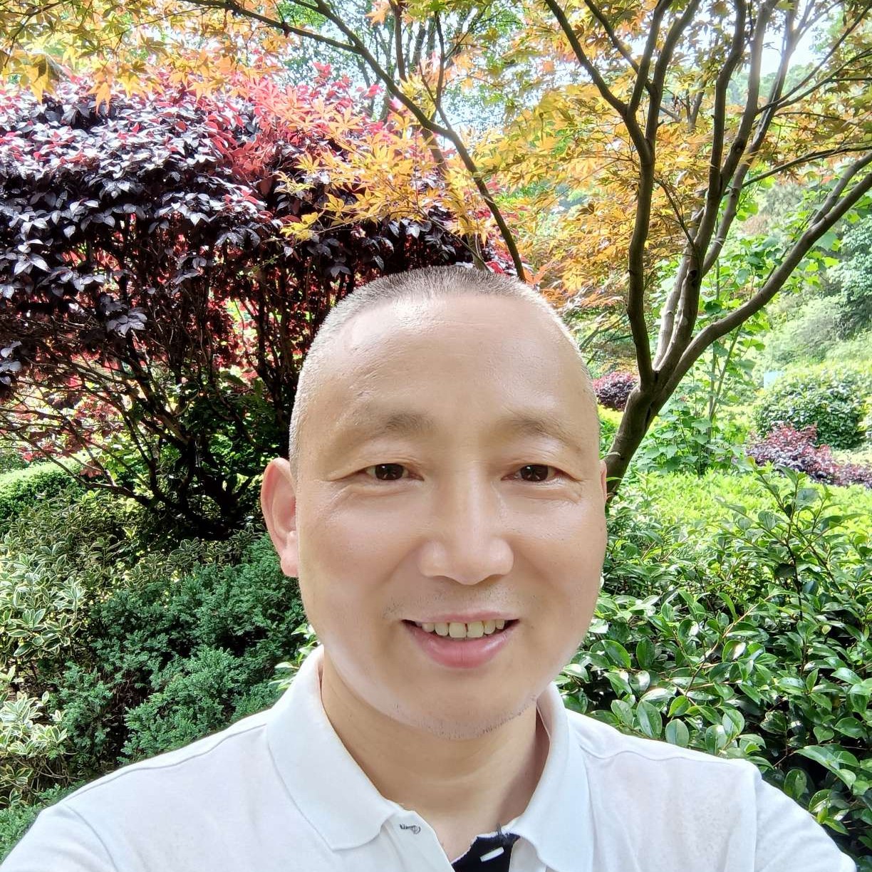 会员38872365的照片