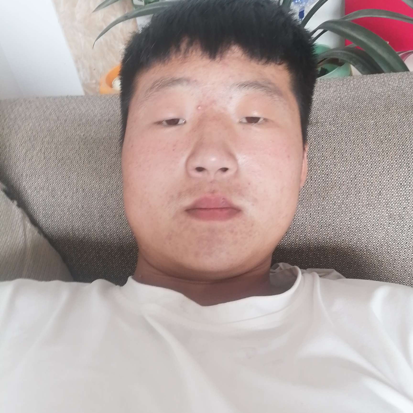 细心漫步小熊猫的照片
