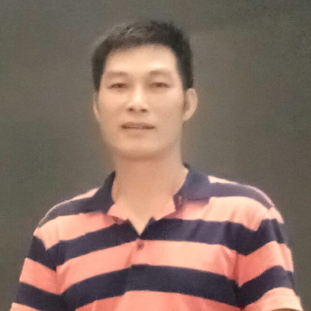 火马的照片