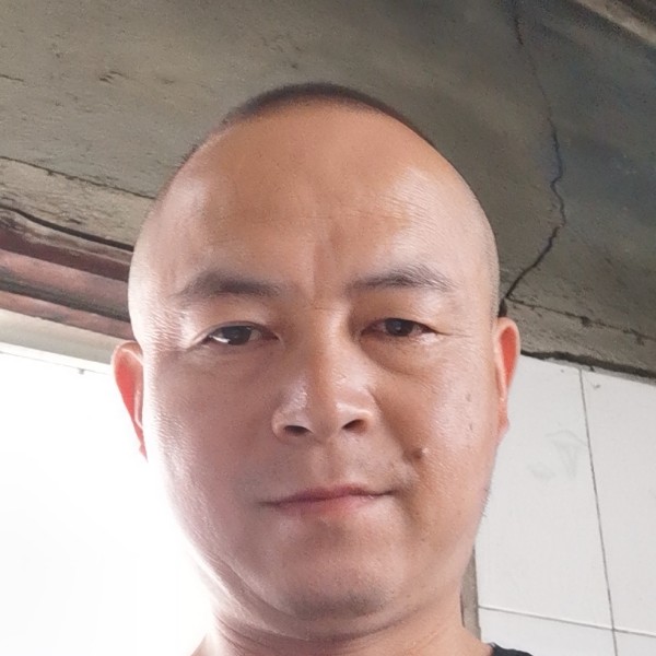橘子有满意的照片