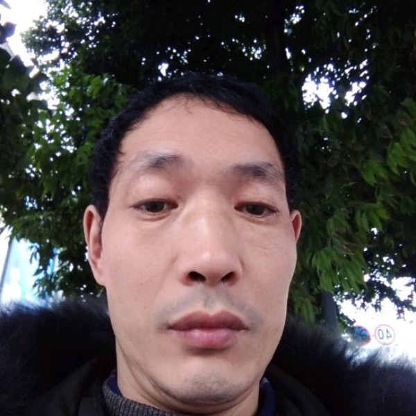 星雨可靠的照片