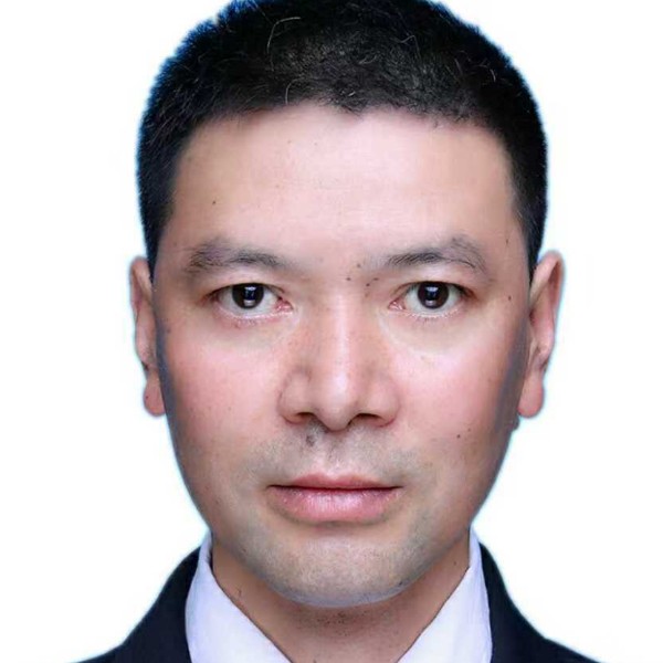 灰狼方感性的照片