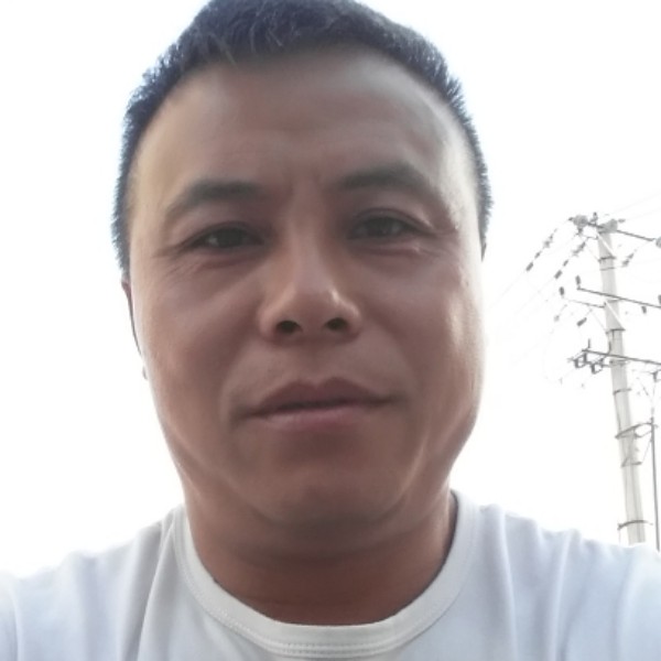 相伴孤影的照片