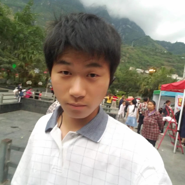无惧风雨的照片