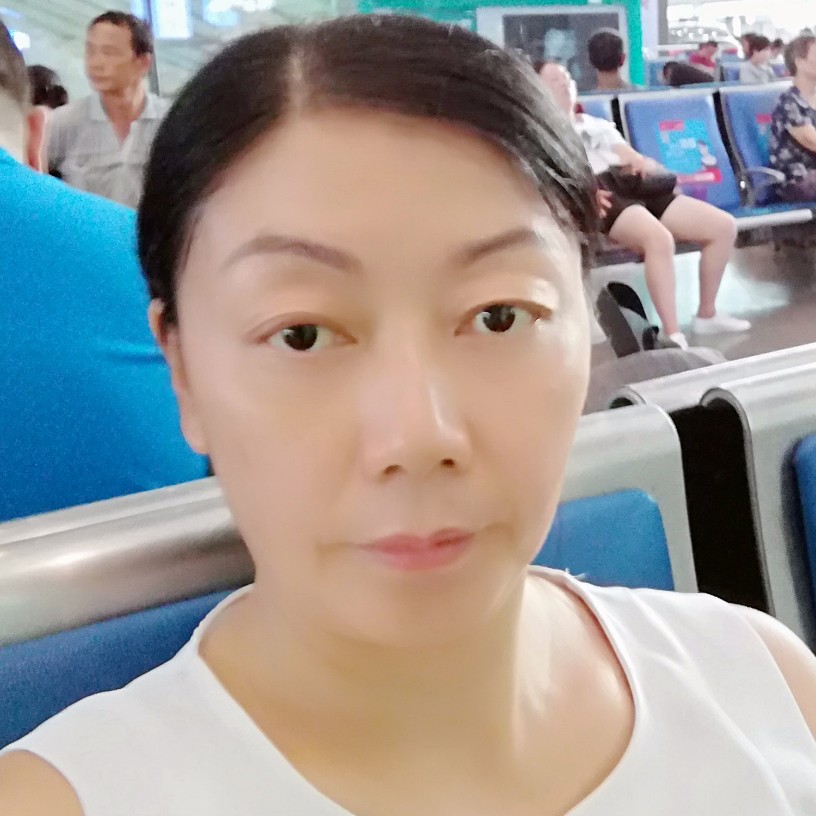飞像南方的燕子的照片