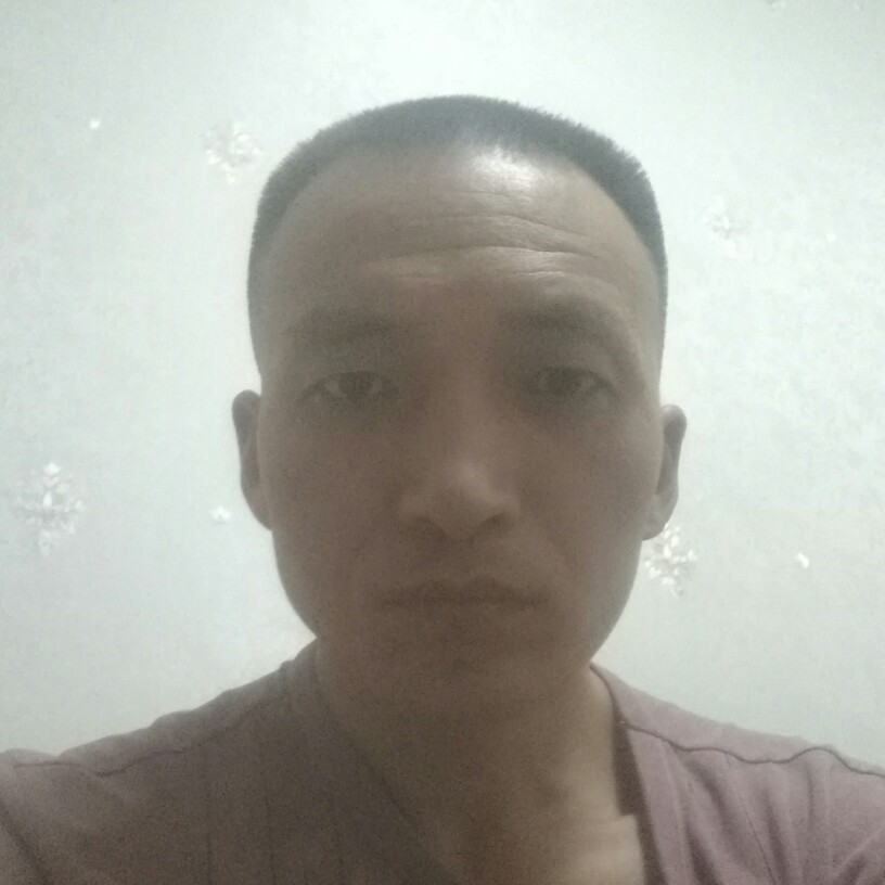 浪子泪的照片