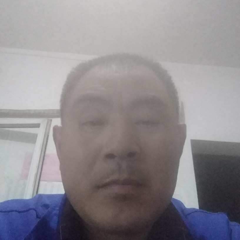 舒荷狂野的照片
