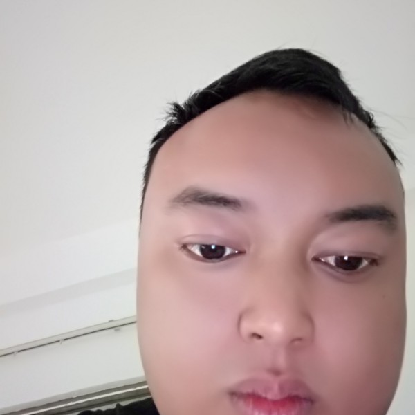 优美愿过客的照片