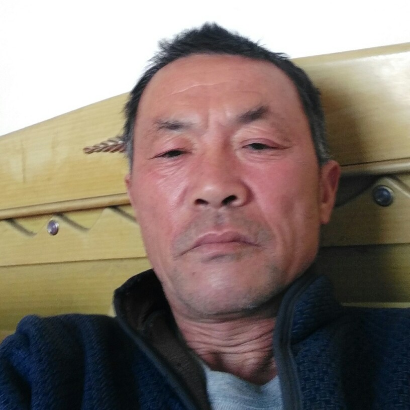 张爱子奇百石的照片