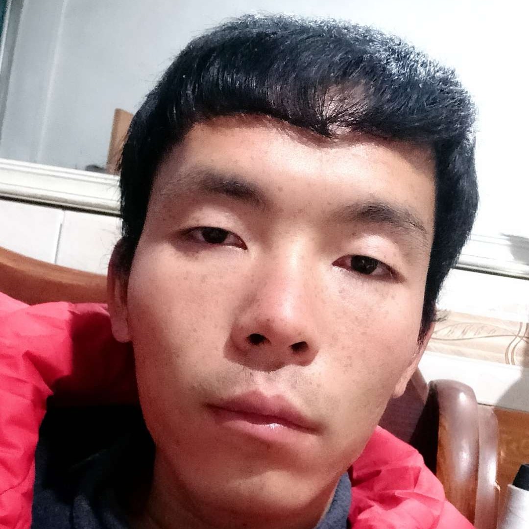盛树繁花的照片