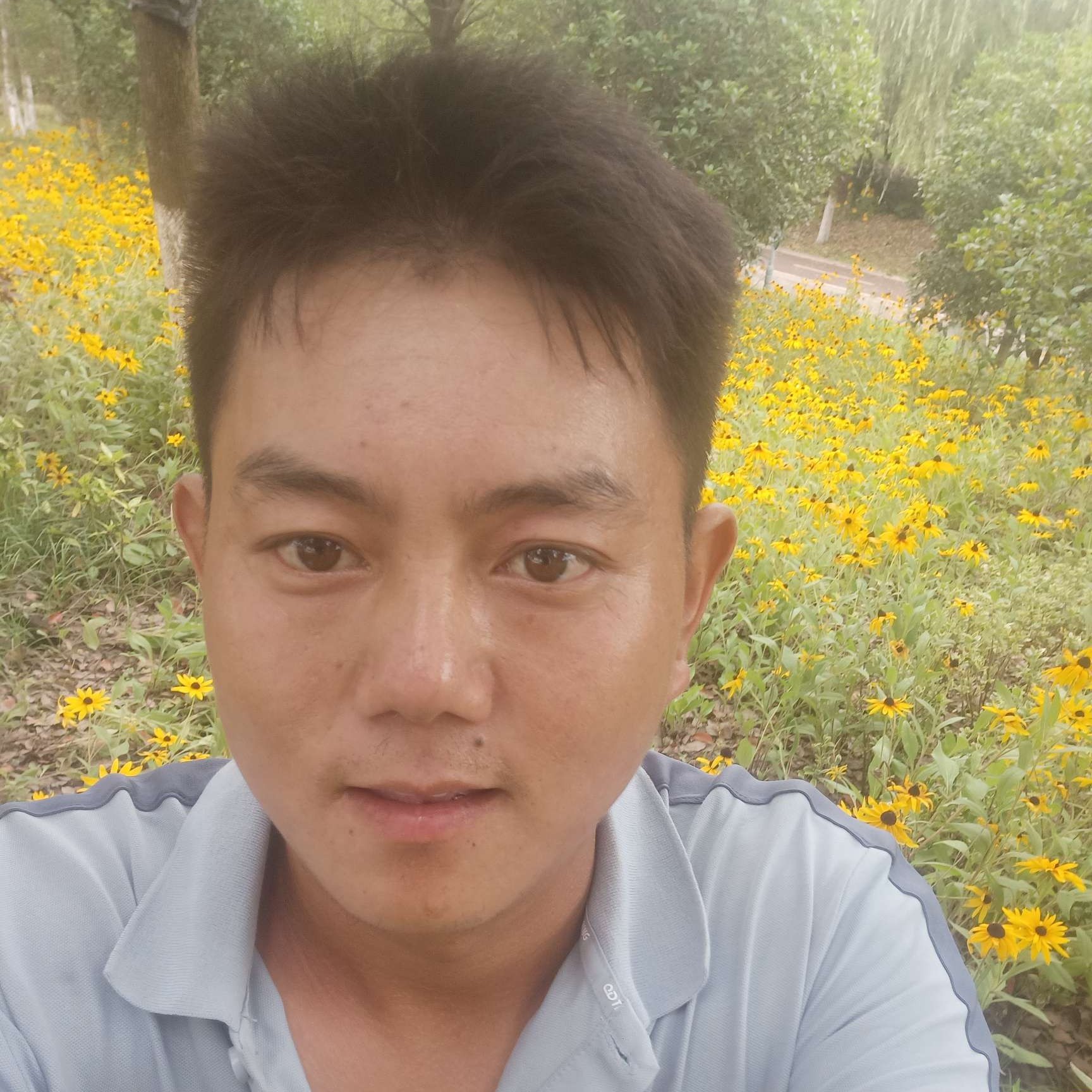 清涵潤紫檀的照片