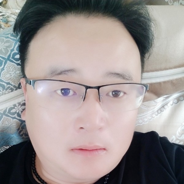 森林之中一颗树的照片