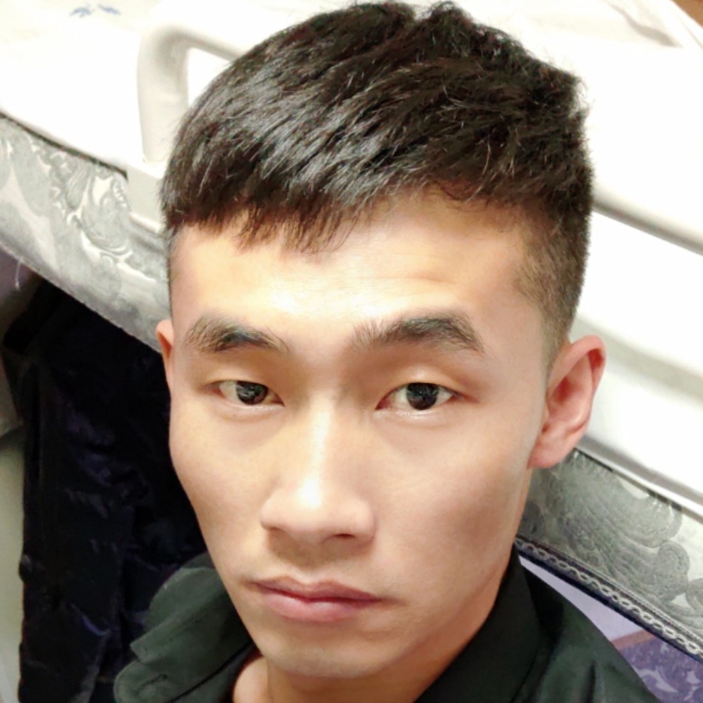 向日葵爱玩命的照片