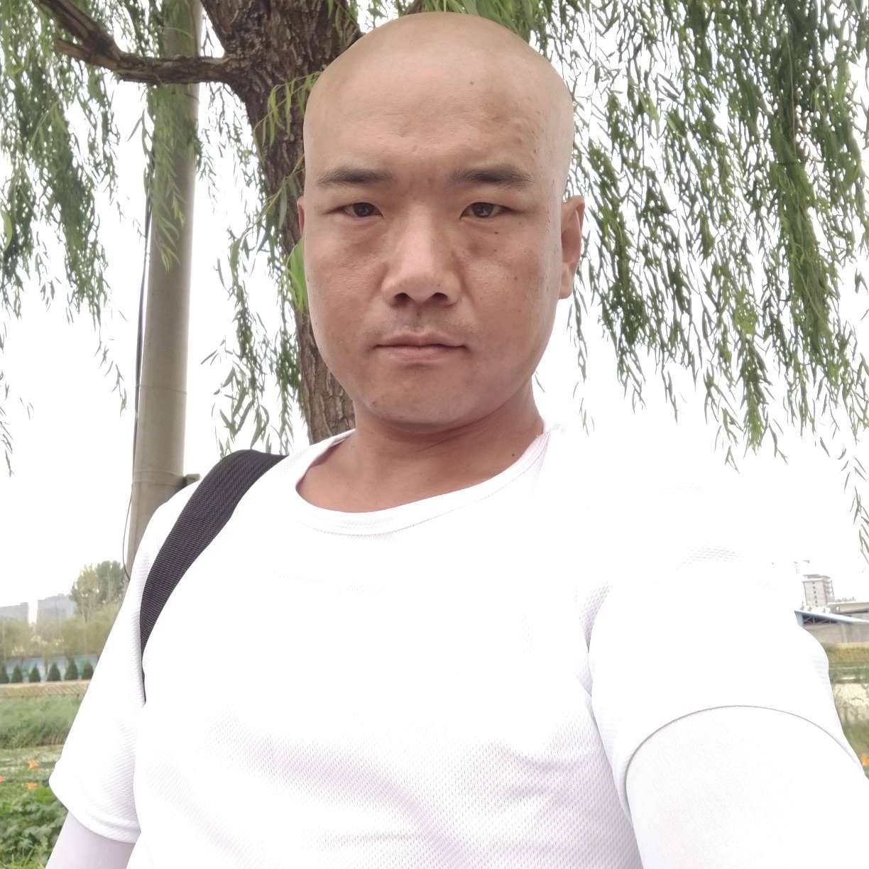 醉卧沙场秋点兵的照片