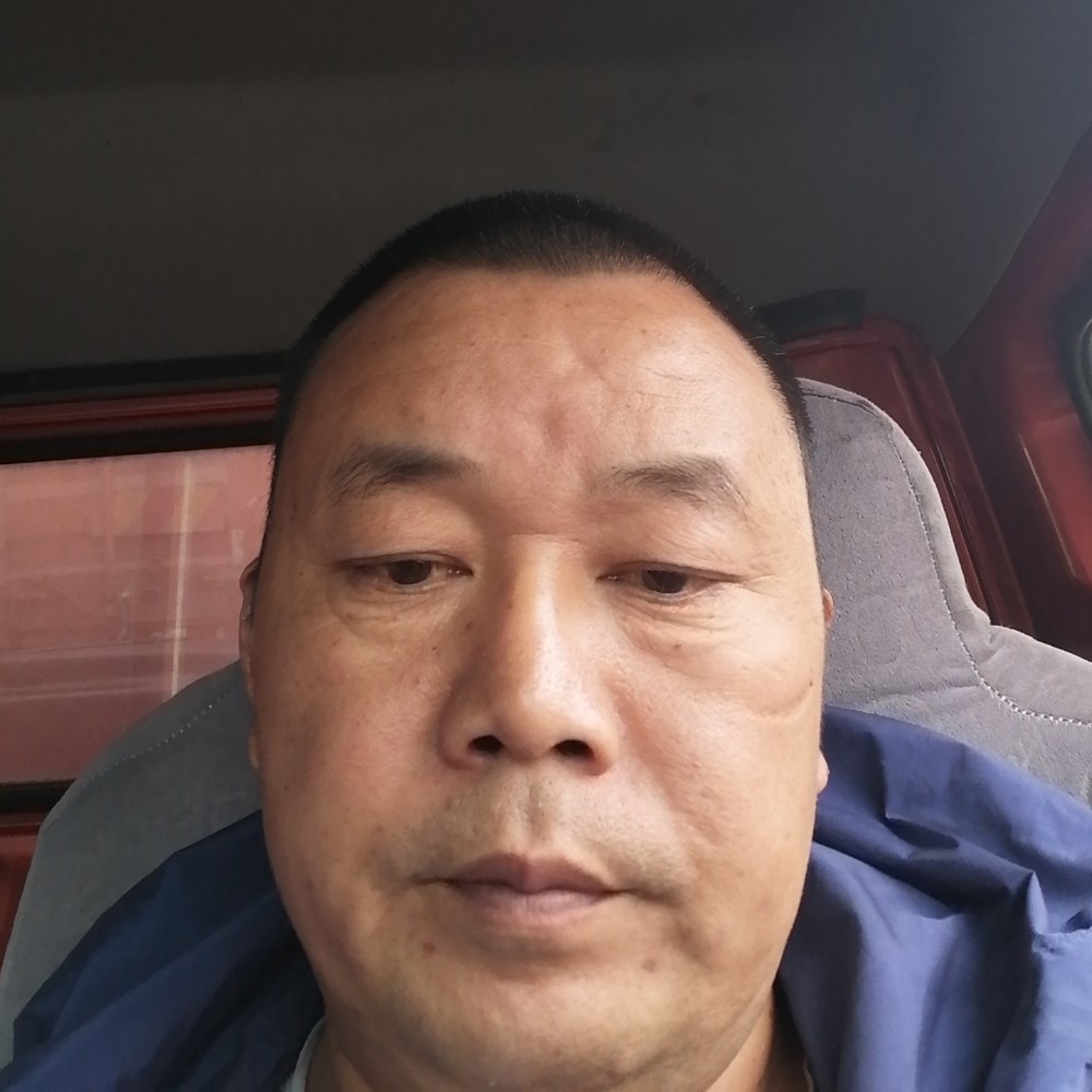 大树与无辜的照片