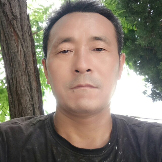 平淡鱼的照片