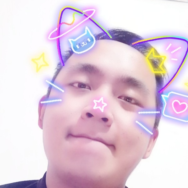 游泳的猪的照片