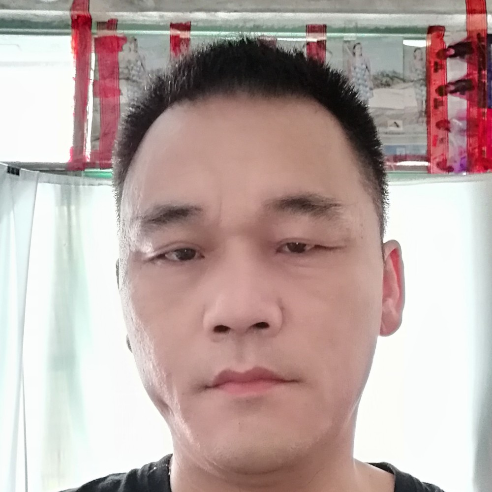 痴情用白猫的照片
