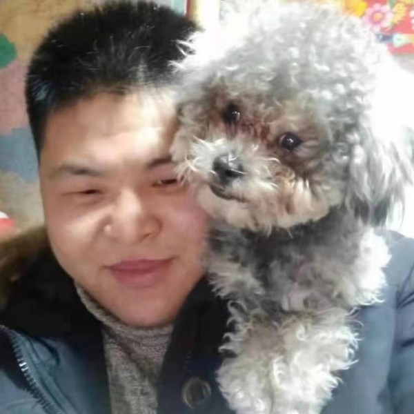 长颈鹿爱恋风趣的照片