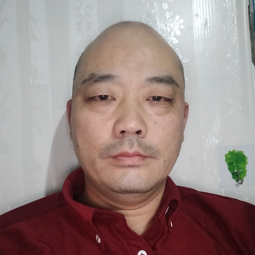 单身等待刺猬的照片