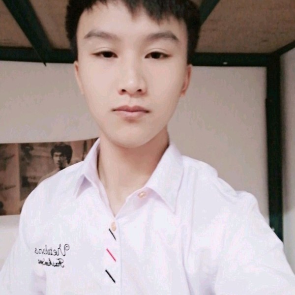 猫猫的照片
