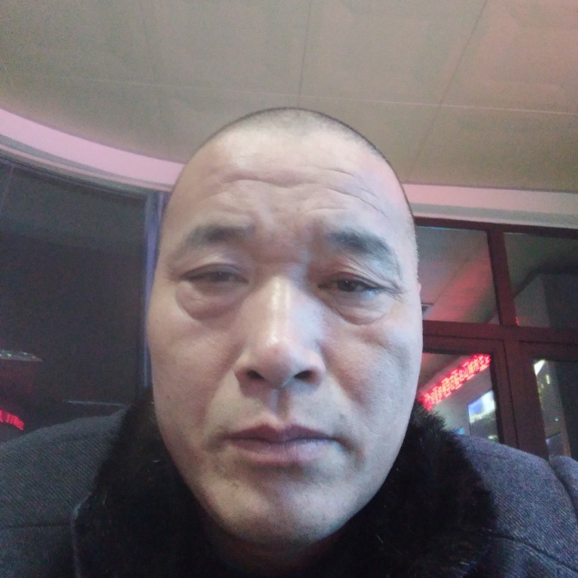 小蝴蝶停止喜悦的照片