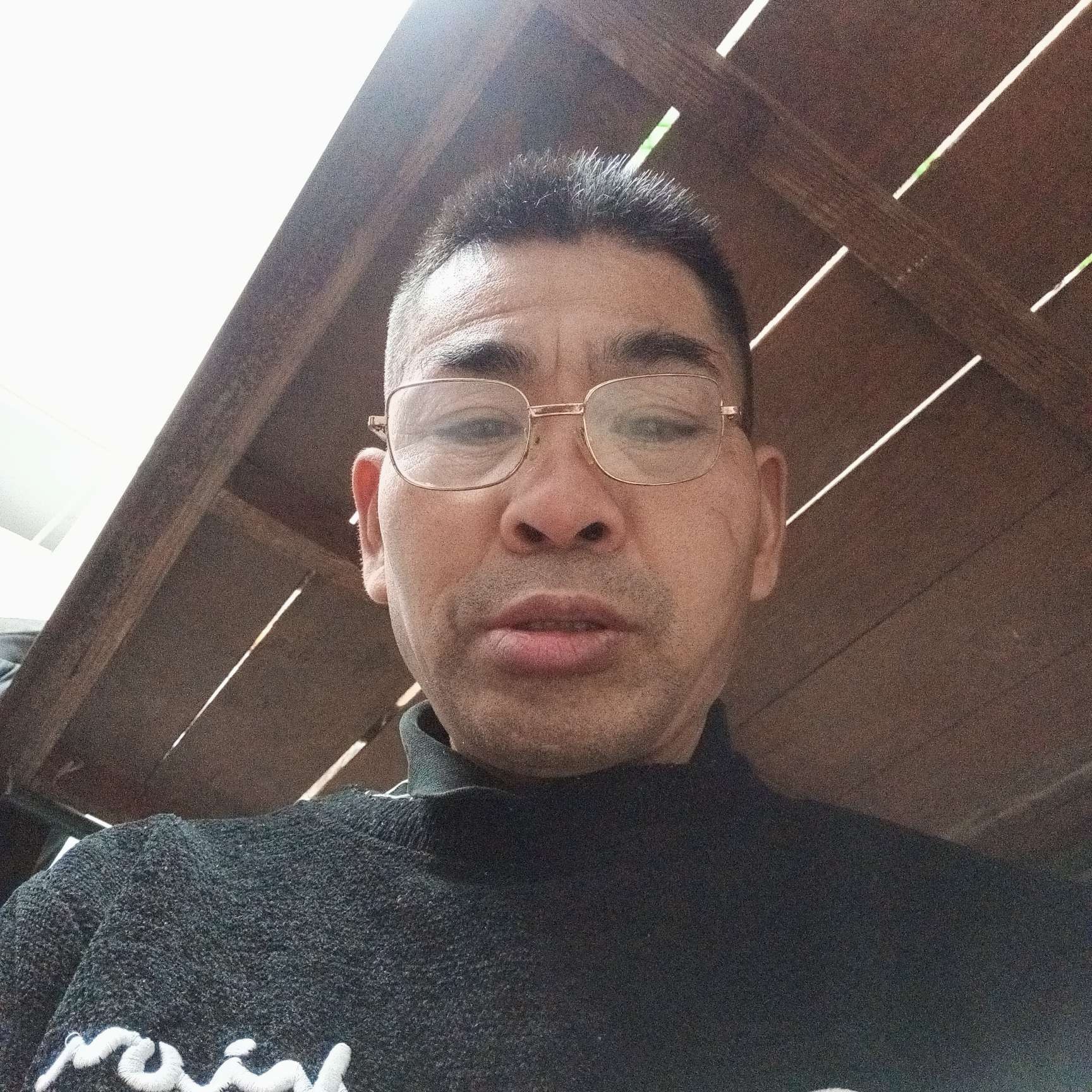聪明回眸砖头的照片