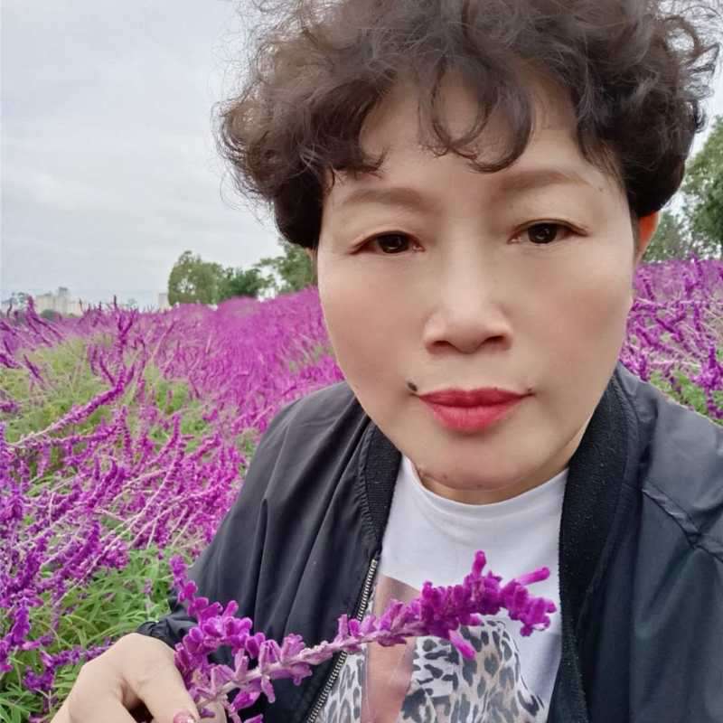掌心温柔的照片